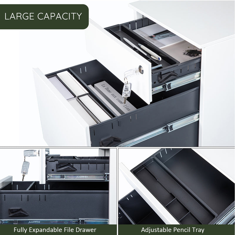 2 Drawer Mobile File Cabinet with Lock Metal Filing Cabinet for Legal/Letter/A4/F4 Size, Fully Assembled Include Wheels, Home/Office Design